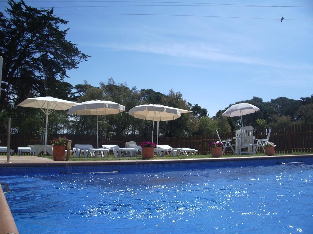 Apartamento Coll, Terrace & Pool *